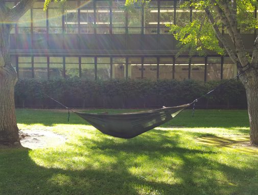 Nap Roadmap at Sac State