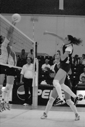 Image: Volleyball continues to win:Tasman Dwyer pounds the ball over against Cal State Northridge.: