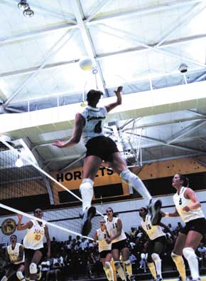 Image: Netters spike preseason favorite NAU:Sac State outside hitter Jayme Wright skies for the kill against Northern Arizona.: