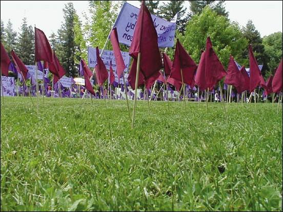 Image: Taking back the night:Flags stand as a poignant reminder of the 35 sexual assaults that occur on average in Sacramento County each month. Photo by Natalie Morris/State Hornet: