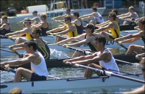 Image: Hornets walk at WIRA championships:From left, second row from bottom, Matt McPhail, Mike Painter and Adam Van Coops, part of the Hornet mens varsity eight, race in the mens varsity eight petite final. Sacramento State men won two medals at the regatta.  Photo by Kimberly Park: