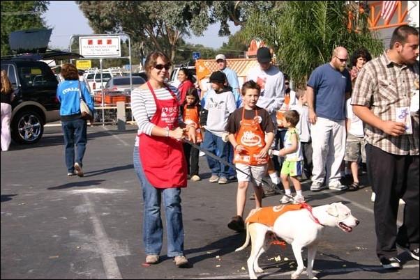 Image: Until There Are None...:Bethany Rich walks Tessa, a 4-year-old American Staffordshire mix, at a mobile adoption center during a fire safety event in the parking lot of the Home Depot on Madison Avenue. What I enjoy most is getting the dogs out of the cages because theyre i: