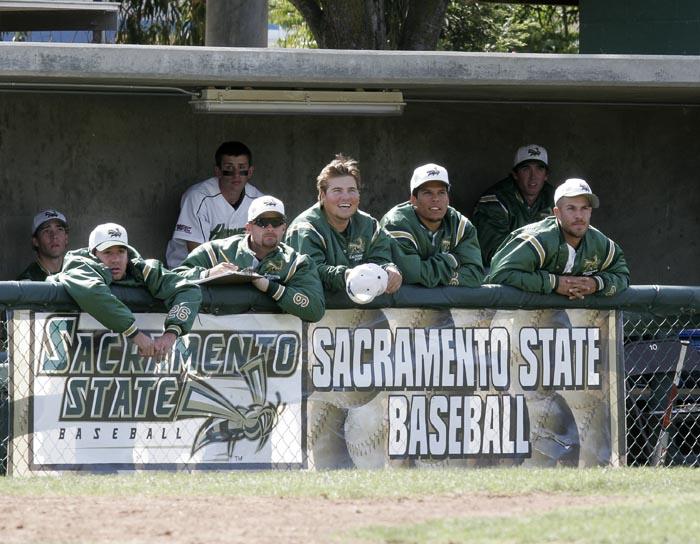 The Sacramento State baseball team cheers on sophomore David Flores from the dugout as he steps up to the batters box.: