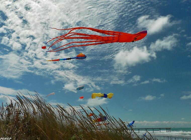 kites 3::