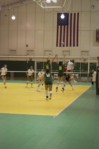 A swarm of Hornets attempt to block a spike against UC Riverside at the Sacramento State Invitational Saturday.:
