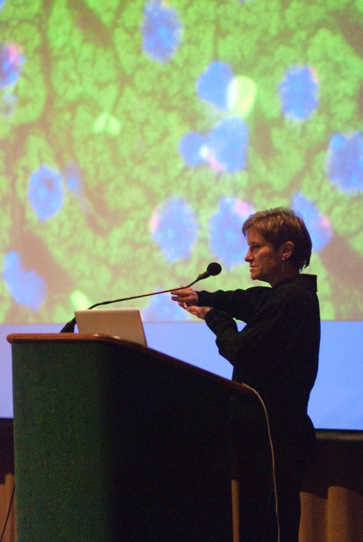 Dr. Diane Krause, associate director of the Yale Stem Cell Program, lectures about stem cell advancements in the Redwood Room in the University Union. Dr. Krause used images to explain different aspects of stem cell research.: