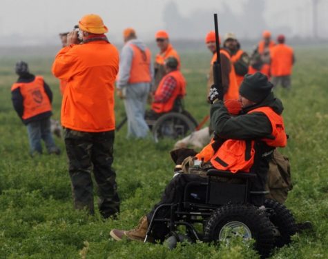 Hunters target pheasants at a mobility impaired outing.
Both disabled and able-bodied participate in the
event.