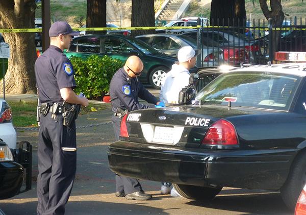 A Sacramento Police Department officer takes a suspect into
custody following a shooting on the American River Levee less than
a mile from campus.
