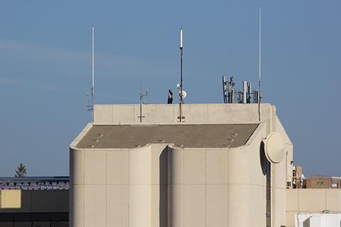 A man stands on top of the Library this morning anticipating the arrival of the space shuttle Endeavour.
