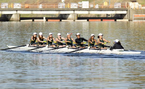 The Sacramento State Hornet rowing team pushes toward the finish line of the second novice eight race on Saturday against Humboldt State at the Sacramento State Invitational on Lake Natoma. The Hornets finished in first with a time of 7:36.8.
