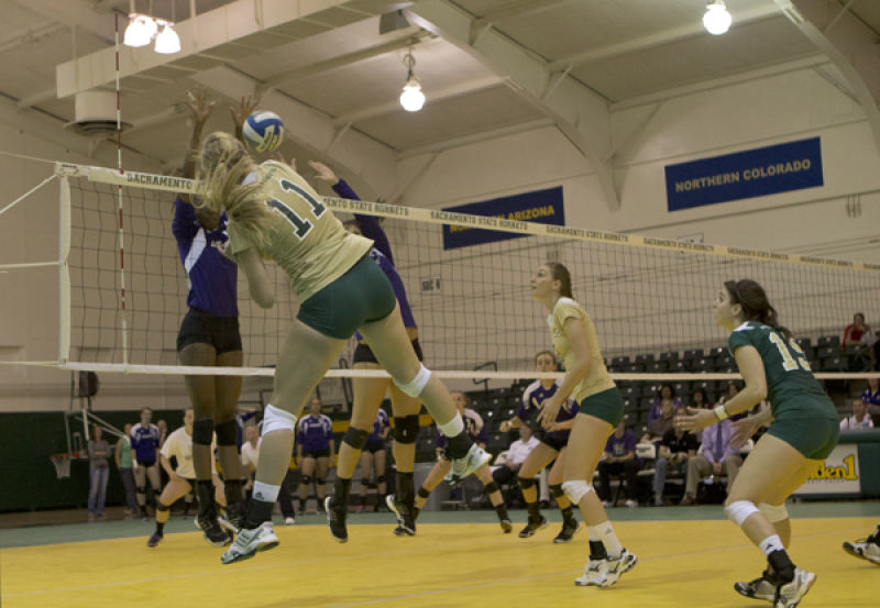 Sac State sophomore Sloan Lovett steps in to fill offensive void against Weber State during the 2012 season. 