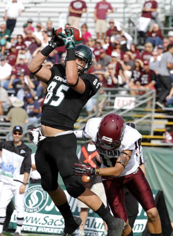 Sacramento State tight end Cole Hikutini (85) makes a catch over Montanas JR Nelson (18) Saturday November 2, 2013 at Sacramento State.