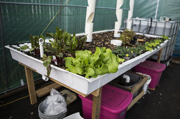 A multi-tropic Farming system within STORC uses less than 10 percent of water compared to other farming systems.