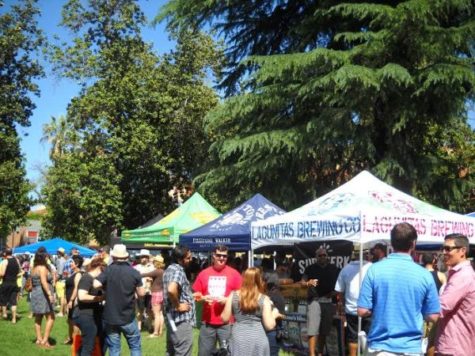 Fremont Park filled up for the second annual Chili and Beer Festival.