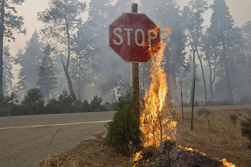 Fire burns near road signage near Uncle Toms Cabin in El Dorado County, Calif., on Thursday, Sept. 18, 2014. The King fire has burned more than 70,000 acres. (Randall Benton/Sacramento Bee/MCT)