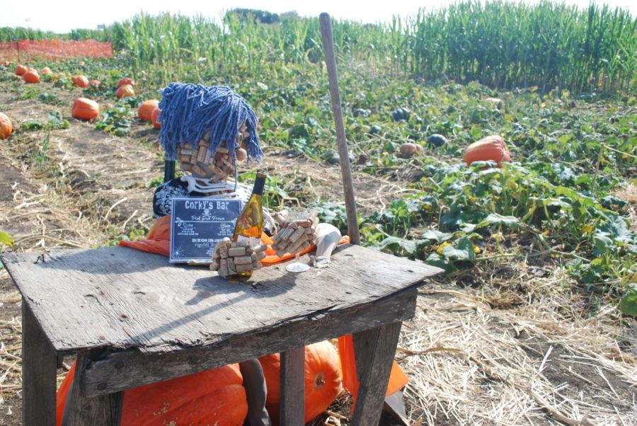 The best time to come to the maze is in the morning, when there will be minimal crowds, according to Matt Cooley.