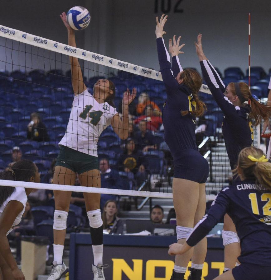 Sacramento State outside hitter Lauren Kissell goes up for the ball against Northern Colorado at Rolle Activity Cente on Nov. 19, 2015. Kissell led the team with 15 kills in the match.