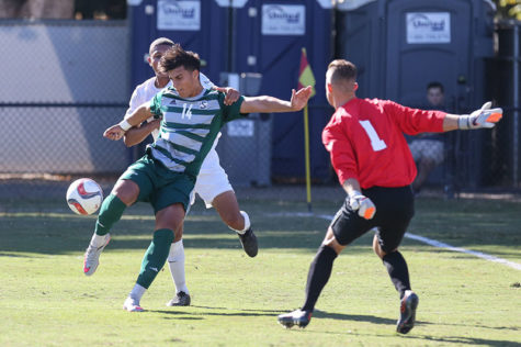Hornets lose 4-2, miss postseason