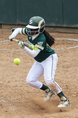 Hornets split doubleheader with Montana