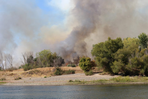 A two-alarm grass fire burns along the American River Parkway near Cal Expo on Thursday, Sept. 15. The surrounding area was evacuated and one person was being treated for smoke inhalation. (Photo by Kameron Schmid)