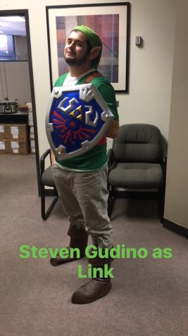 Steven Gudino as Link from The Legend of Zelda