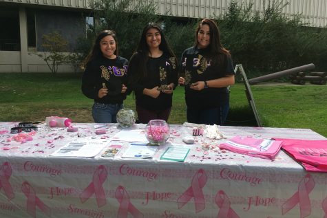 Greek organizations helps fundraise for city’s annual breast cancer walk