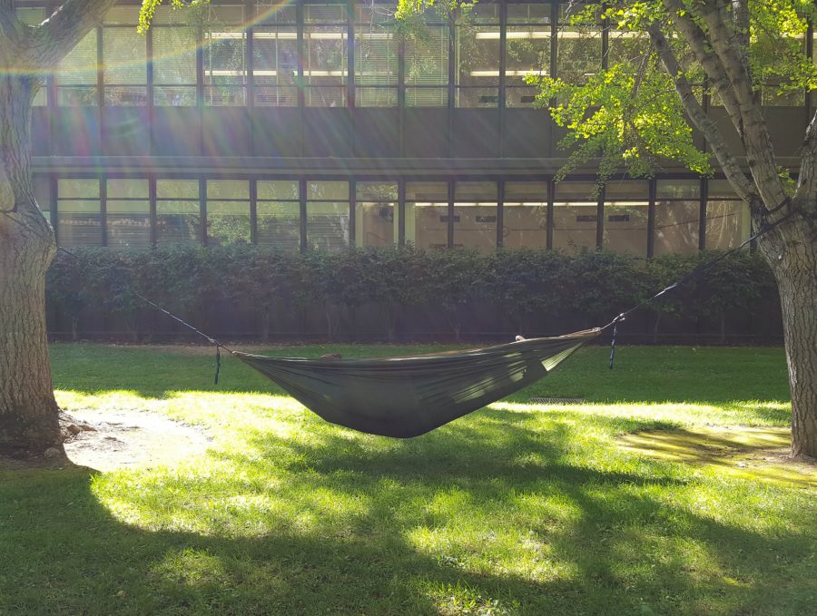 Sophomore criminal justice major Matthew Smith lies on a hammock he hung between two trees in the pathway of Alpine and Calaveras halls.
(Photo by Joel Boland)