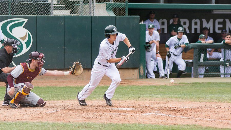 Sacramento State junior Andrew McWilliam bunts the ball against Minnesota  Saturday at John Smith Field. (Photo by Matthew Dyer)