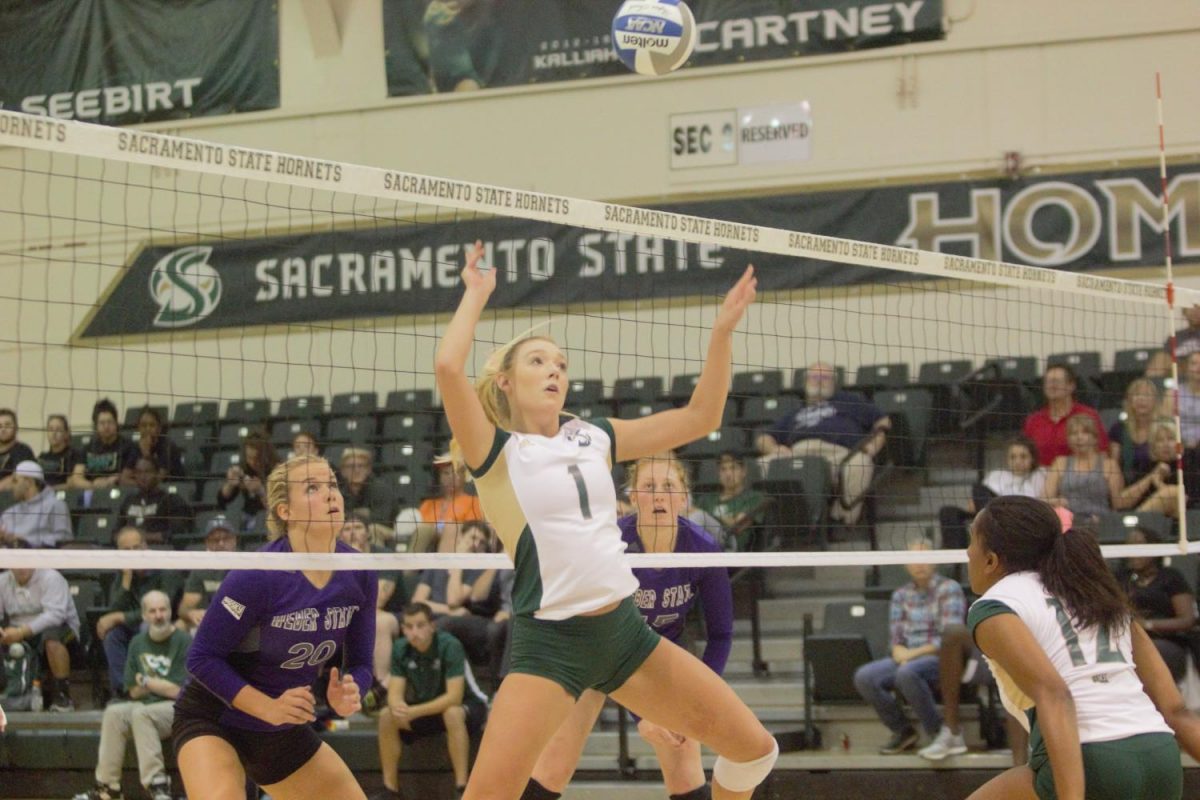 Sacramento+State+senior+setter+Kennedy+Kurtz+sets+up+an+attack+play+for+the+Hornets+in+the+first+set+against+Weber+State+Thursday%2C+Sept.+21+at+Colberg+Court.