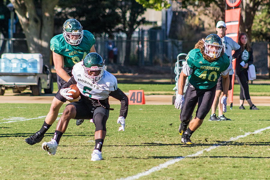 Sacramento State freshman running back Erick Buchanan sets to make a cut up field as freshman defesnive linemen Wyatt Hjelm,left, and Killian Rosko,right, persue him during Wednesday Sep.23 practice at Sac State. The Hornets finish their three game home streak this week with Southern Utah on Saturday Sep.23. (Photo By: Matthew Nobert)