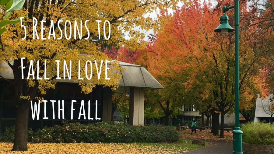 5 reasons to fall in love with fall