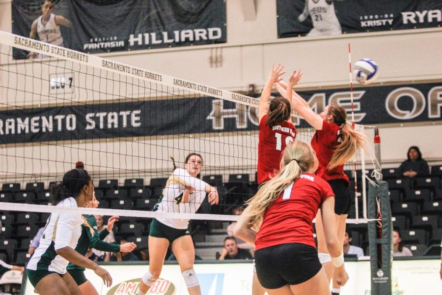 Sacramento State junior outside hitter Mikaela Nocetti records a kill in the second set against Southern Utah Thursday, Oct. 12, 2017 at Colberg Court.