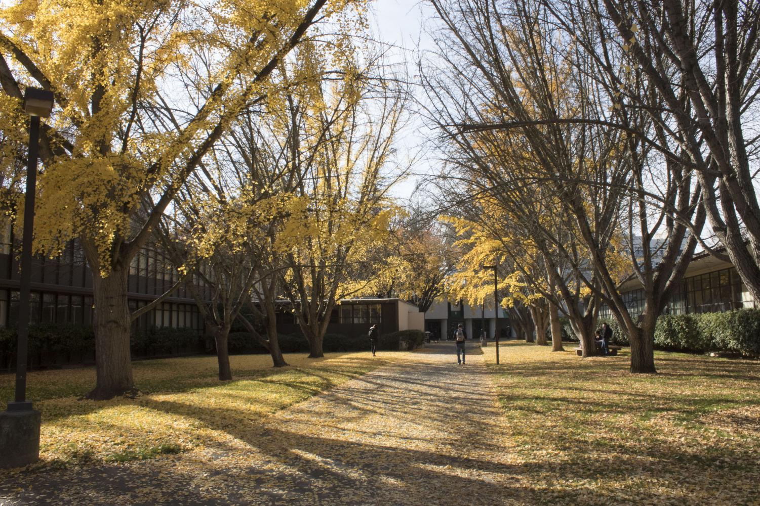 The pathway between Calaveras and Alpine halls is one of the most popular spots for graduation photoshoots every semester.