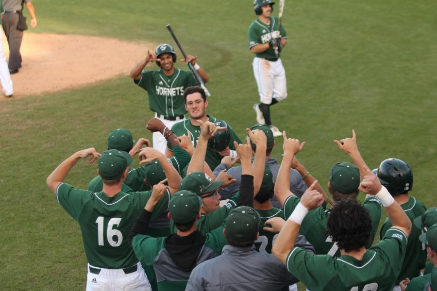 Sacramento State freshman second baseman and Hawaii native Keith Torres, middle, celebrates behind his teammates as they hold up the Shaka sign after he hit his first career home run against Chicago State at John Smith Field on Saturday, April 7, 2018. The Hornets defeated the Cougars 13-1.