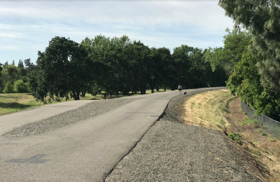 The American River bike trail is a great place to clear your head and relax after a stressful day of classes. 