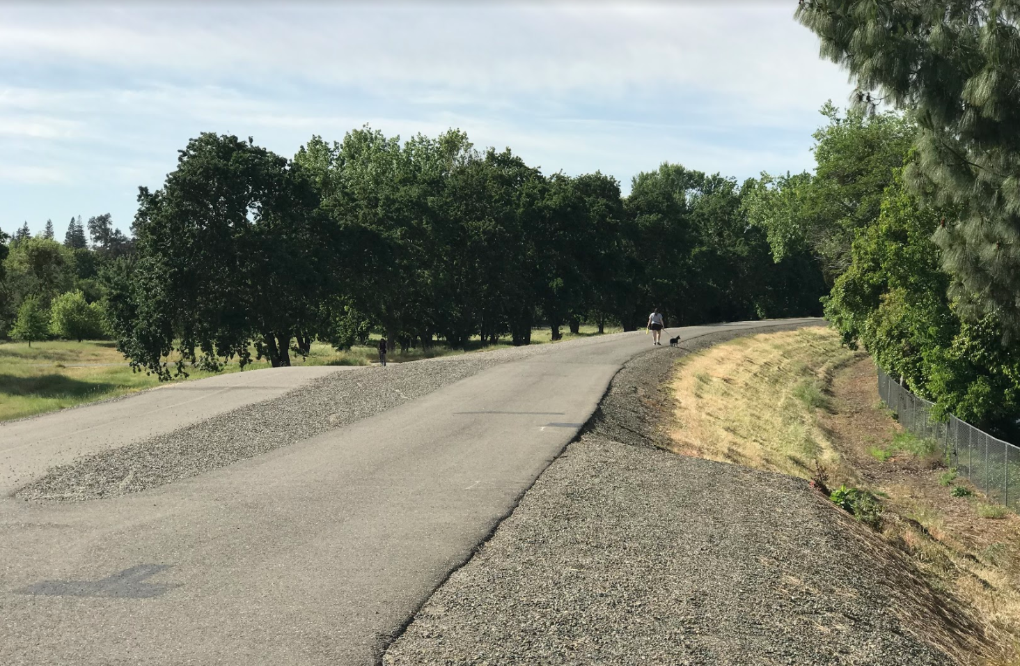 The American River bike trail is a great place to clear your head and relax after a stressful day of classes.