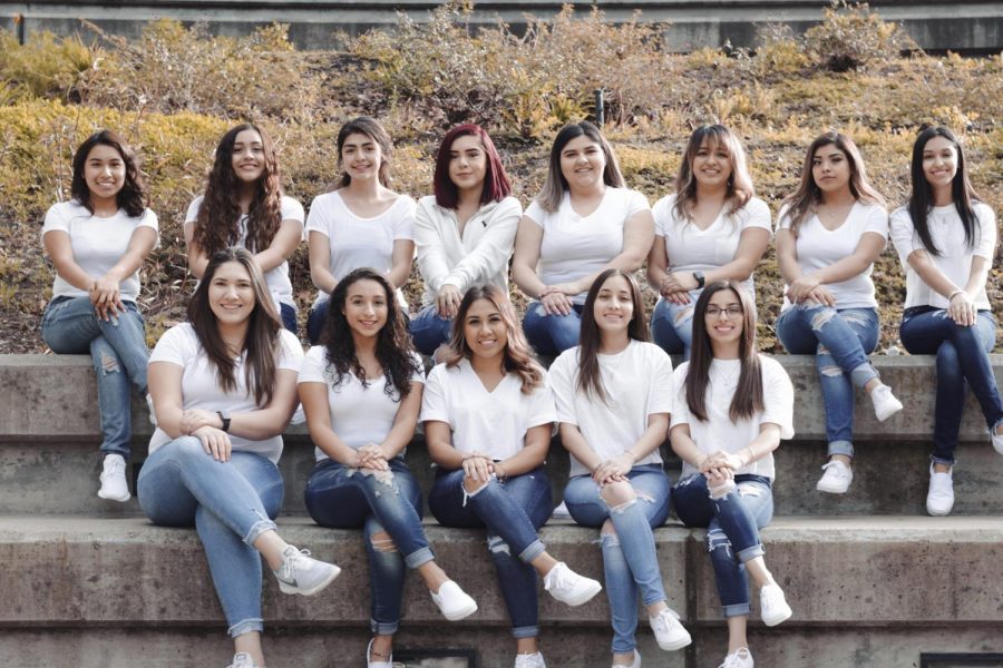 The ladies of Sac States Lambda Theta Alpha chapter gather to take a group photo for flyers and tabling purposes. LTA could potentially be coming to Sac State in fall 2019. 