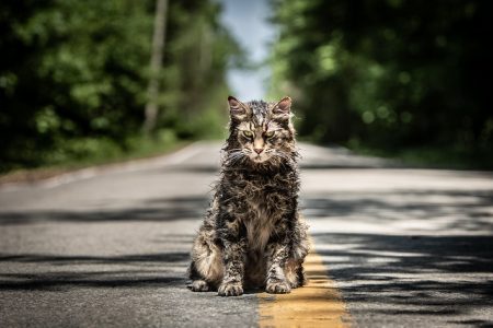 REVIEW: ‘Pet Sematary’ is mostly good, but ends poorly