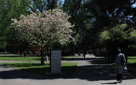 Sac State students weigh in on allergy season