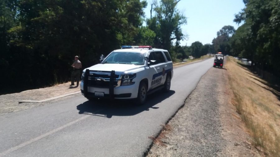 Sacramento County Park Rangers assist the Sacramento State Police Department and Sacramento police apprehend a suspect who fled into the American River on Tuesday, August 20. The suspect fled downstream onto an island north of the J-Street Bridge where he surrendered to police.