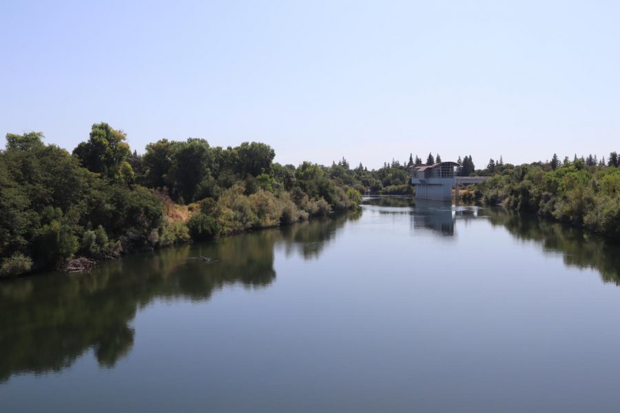 View of the American River from Sac States Guy West Bridge. Sac States Institute of Social Research partnered with Valley Vision to complete a survey on the Sacramento regions view on climate change.