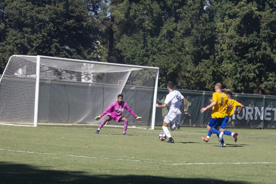 Sac State sophmore forward Benji Kikanovic attempts to make a goal against CSU Bakersfield on Sunday, Sept. 9, at Hornet Field. The Hornets lost to the Roadrunners 5-2, ending the teams undefeated record.