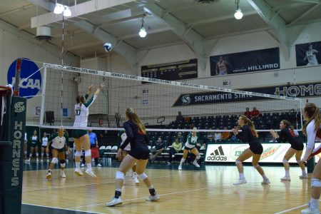 Sac State sophomore setter Ashtin Olin sets the ball against Southern Utah Thursday, Oct. 3 at The Nest. The Hornets lost to the Thunderbirds in five sets.