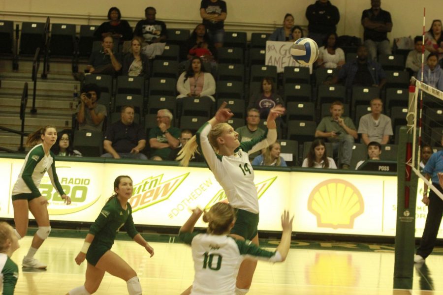 Sac State sophomore middle blocker Sarah Falk prepares to spike the ball Thursday, Oct. 24, against Montana at The Nest. The Hornets won the match 3-1.