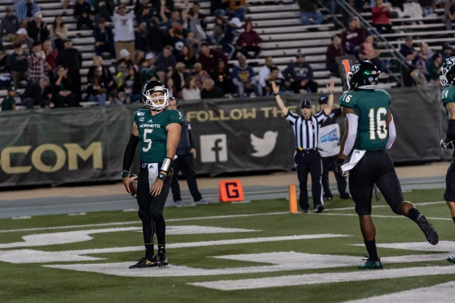 Sac State junior quarterback Kevin Thomson celebrates as he scores a touchdown against Montana Saturday, Oct.19 at Hornet Field. Thomson finished the game with a total of 2 rushing touchdowns in the win.