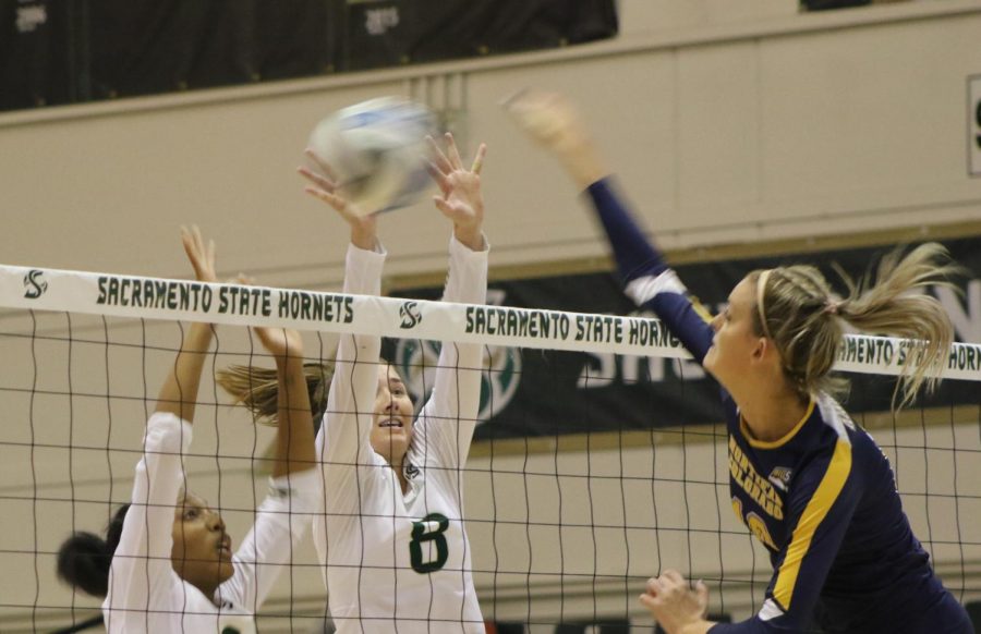 Sac State junior middle blocker Cianna Andrews and senior outside hitter Sarah Davis attempt to block Northern Colorado junior middle blocker Lauren Hinrichs Thursday, Oct. 17 at The Nest. The Hornets lost in four sets to the Bears.