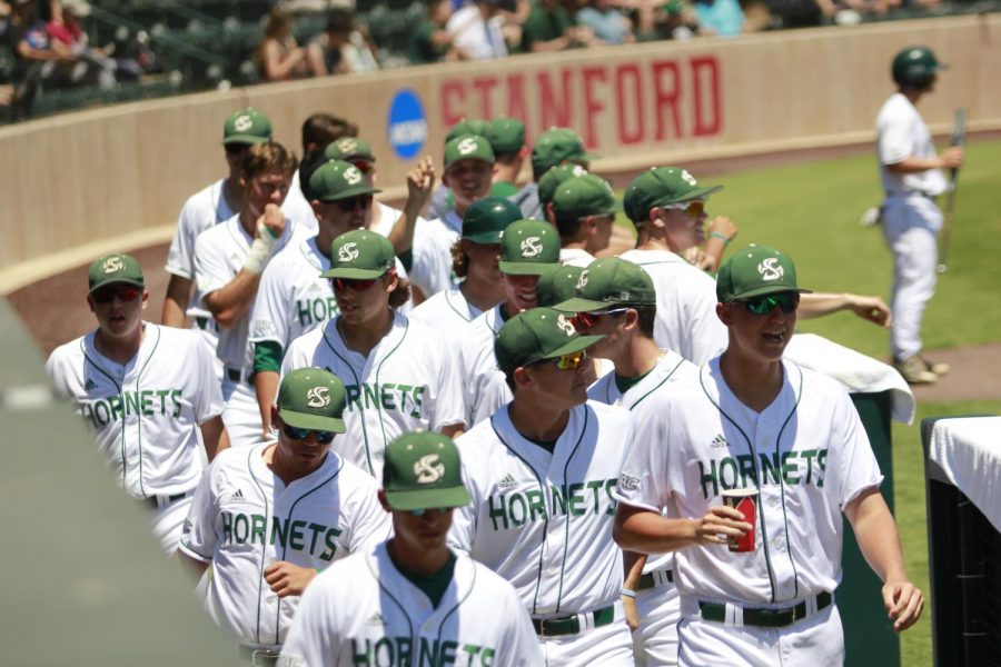 The+Sacramento+State+baseball+team+celebrate+a+scored+run+against+Stanford+University+Sunday%2C+June+3+at+Sunken+Diamond.+Gov.+Gavin+Newsom+signed+Senate+Bill+206+into+law+Monday%2C+allowing+for+athletes+on+the+baseball+and+all+other+teams+to+potentially+monetize+their+likenesses.