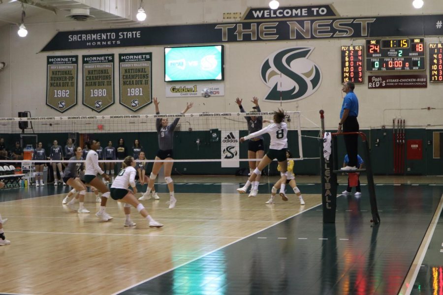 Sac State senior outside hitter Sarah Davis spikes the ball against Northern Arizona Saturday, Oct 5 at The Nest. Davis had 31 kills during the game, at times having more total kills then the Lumberjacks as a team.