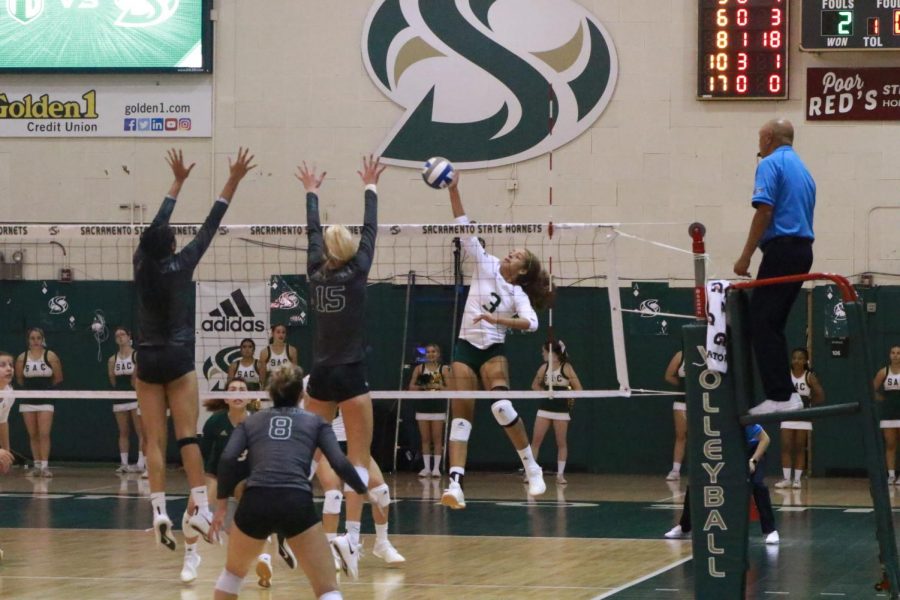 Sac State junior outside hitter Macey Hayden spikes the ball against Portland State Tuesday, Oct. 15 at The Nest. Hayden scored 9 kills against Portland State during the match.
