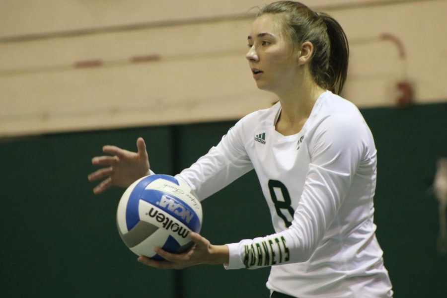 Sac State senior outside hitter Sarah Davis prepares to serve the ball against Northern Colorado Thursday, Oct. 17 at The Nest. Davis had a game-high 20 kills in the loss to the Bears.